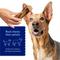 Show in main carousel: Chewy Made Roasted Marrow Bone 6" Dog Treat (FORMERLY BONES & CHEWS), 1 count slide 3 of 9