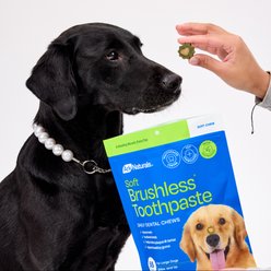 Ark Naturals Soft Brushless Toothpaste Large Dental Dog Treats, 18-oz bag, 55 count slide 2 of 7