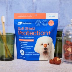 Ark Naturals Soft Shield Protection+ Brushless Toothpaste Small Dental Dog Treats, 12-oz bag, 28 count slide 2 of 6