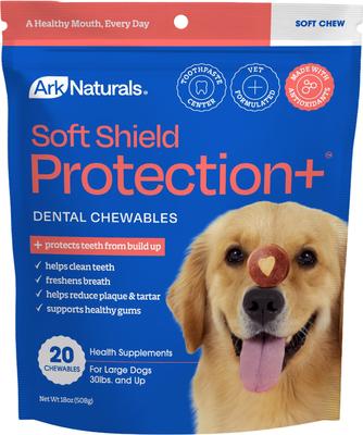ARK NATURALS Soft Shield Protection+ Brushless Toothpaste Large