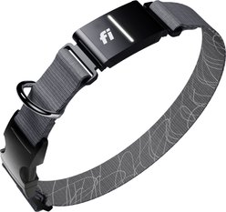 Fi Series 3+ Smart Dog Collar, Gray, Large