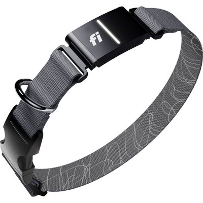 Fi Fi Series 3+ Smart Dog Collar, Gray, X-Large