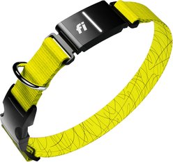 Fi Series 3+ Smart Dog Collar, Yellow, Large