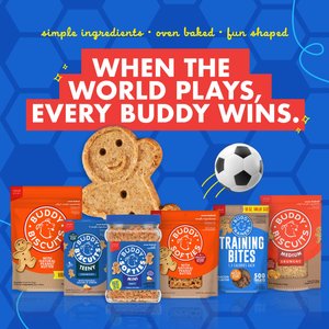 Buddy Biscuits Softies with Peanut Butter Soft & Chewy Dog Treats, 20-oz bag