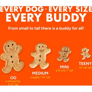 Buddy Biscuits Softies with Peanut Butter Soft & Chewy Dog Treats, 20-oz bag