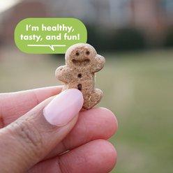 Buddy Biscuits Softies with Roasted Chicken Grain-Free Soft & Chewy Dog Treats, 5-oz bag slide 2 of 9