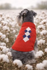 Parisian Pet Argyle Red Navy Knit Top Dog Sweater, Medium slide 2 of 4