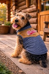 Parisian Pet Denim Suede Fashion Layer Dog Jacket, Small slide 2 of 4
