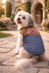 Parisian Pet Denim Suede Fashion Layer Dog Jacket, Large slide 2 of 4