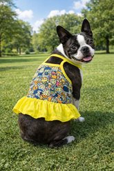 Parisian Pet Artsy Yellow Creative Outfit Dog Dress, Small slide 2 of 4