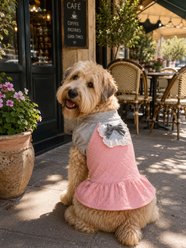 Parisian Pet Quilted Winter Pink Cold-Weather Outfit Dog Dress, Small slide 2 of 4