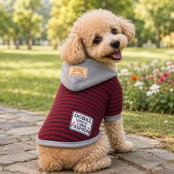 Parisian Pet Striped Knit Gray Red Pullover Dog Hoodie, Small slide 2 of 4
