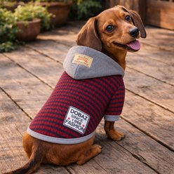 Parisian Pet Striped Knit Gray Red Pullover Dog Hoodie, Medium slide 2 of 4
