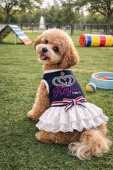 Parisian Pet Royal Crown Navy Regal Outfit Dog Dress, Small slide 2 of 4