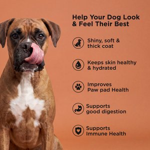 Go! Solutions Skin + Coat Care Salmon Recipe Dry Dog Food, 22-lb bag