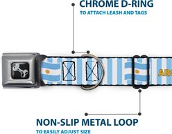 Buckle-Down Global Soccer Cup Series Argentina Spirit Flag Metal Seatbelt Buckle Dog Collar, Small: 9.5 to 13-in neck, 1-in wide slide 2 of 8
