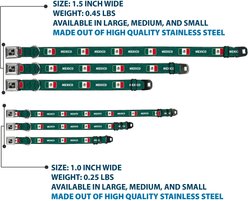 Buckle-Down Global Soccer Cup Series Mexico Spirit Flag Metal Seatbelt Buckle Dog Collar, Large: 15 to 24-in neck, 1-in wide slide 2 of 8