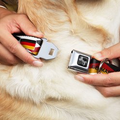 Buckle-Down Global Soccer Cup Series Germany Spirit Flag Metal Seatbelt Buckle Dog Collar, Large: 15 to 24-in neck, 1-in wide slide 2 of 8