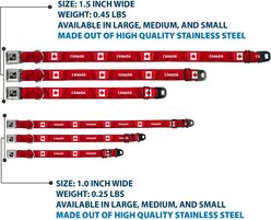 Buckle-Down Global Soccer Cup Series Canada Spirit Flag Metal Seatbelt Buckle Dog Collar, Small: 9.5 to 13-in neck, 1-in wide slide 2 of 8