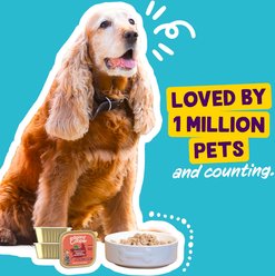 Edgard & Cooper Senior Grain-Free Saucy Pate Magnificent Chicken & Salmon Recipe Wet Dog Food, 5.2-oz cup, case of 11 slide 2 of 9