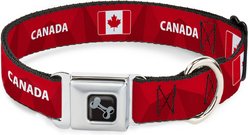 Buckle-Down Global Soccer Cup Series Canada Spirit Flag Metal Seatbelt Buckle Dog Collar, Wide Large: 20 to 31-in neck, 1.5-in wide slide 1 of 8