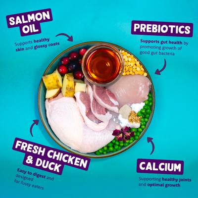 Show full view: Edgard & Cooper Fabulous Free-Run Puppy Grain-Free Chicken & Duck Recipe Dry Dog Food, 11-lb bag slide 4 of 10