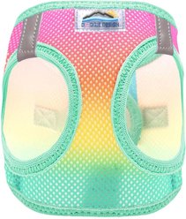 Doggie Design American River Ombre Collection Choke-Free Dog Harness, Beach Party, Medium: 16 to 19-in neck