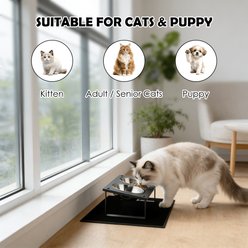 ADENGL 10° Tilted Raised Elevated Metal Cat Bowls with Non-slid Mat, Black, Medium, 2 count slide 2 of 7