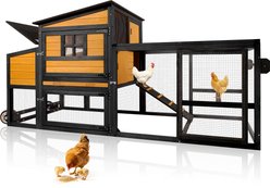 FunXplore Outdoor Chicken Coop, Medium, 83.3 x 33.5 x 41.6-in