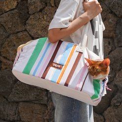 ZEZE Cream White Stripe Traveling Dog & Cat Carrier with Large Mesh Window, Side Drawstring, Safety Clip & Padded Base, 18.8-in