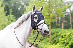 Fenwick Equestrian LT Therapeutic Horse Mask