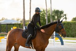 Fenwick Equestrian LT Therapeutic Horse Mask with Sound Reducing Ears slide 2 of 7