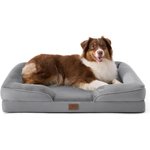 Best Beds for English Bulldogs
