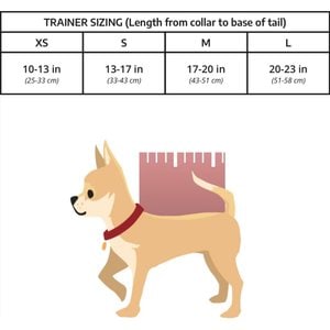 K9 Sport Sack Trainer Forward Facing Dog Carrier Backpack, Turquoise, Small
