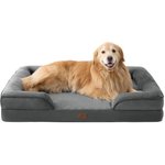 Best Dog Couches & Sofa Beds