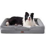 Best Dog Couches & Sofa Beds