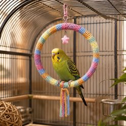 NonoPets Interactive Colorful Rainbow Gradient Hanging Ring Cotton Rope Bird Swing with Star Toy