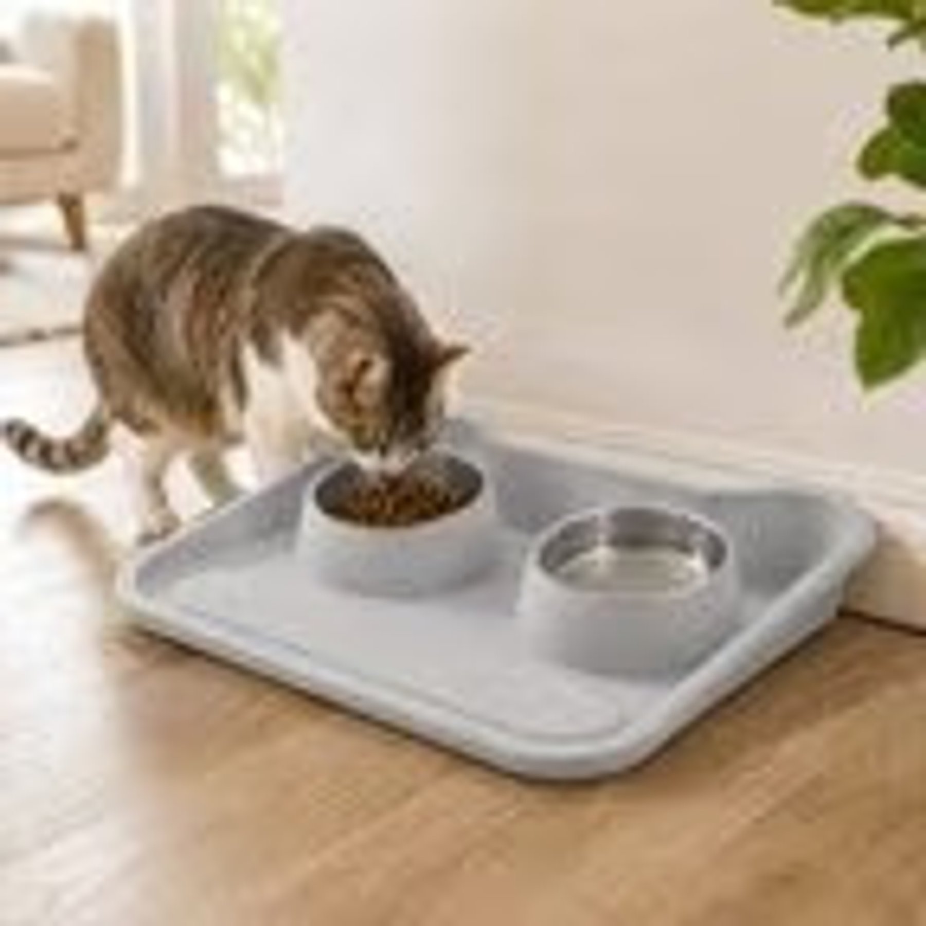 NonoPets Non-Slip Dual Bowl Set with Raised Base Cat Food & Water Feeder, Grey