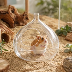 NonoPets Transparent Teardrop Hamster Sand Bath House