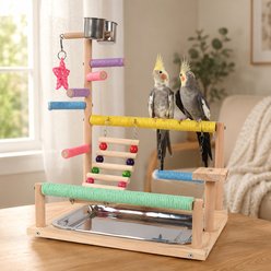 NonoPets Solid Wood Multi-Level Tabletop Activity Center with Climbing Ladder, Hanging Swing & Natural Perches Bird Play Gym, Multicolor