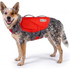 OUTWARD HOUND Neoprene Dawson Swimmer Dog Life Jacket, Medium