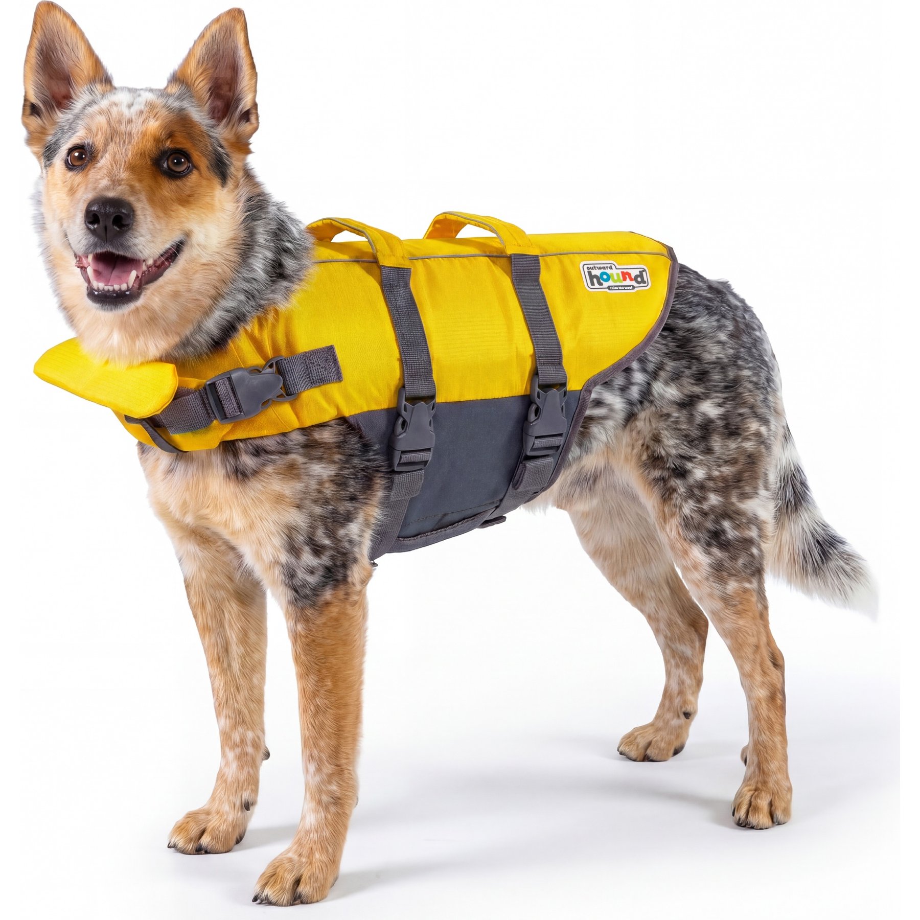 Outward Hound Granby Splash Dog Life Jacket, Yellow, Medium