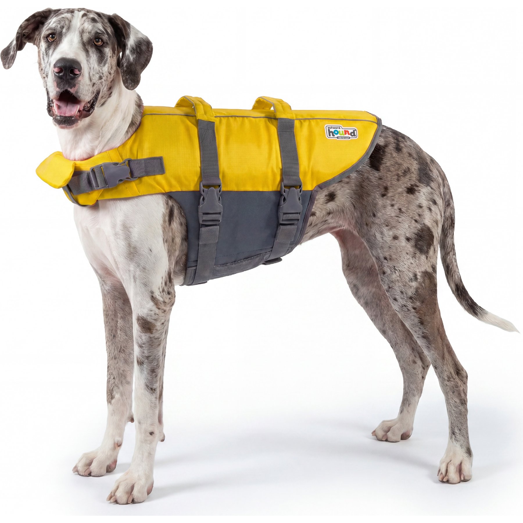 Outward Hound Granby Splash Dog Life Jacket, Yellow, X-Large
