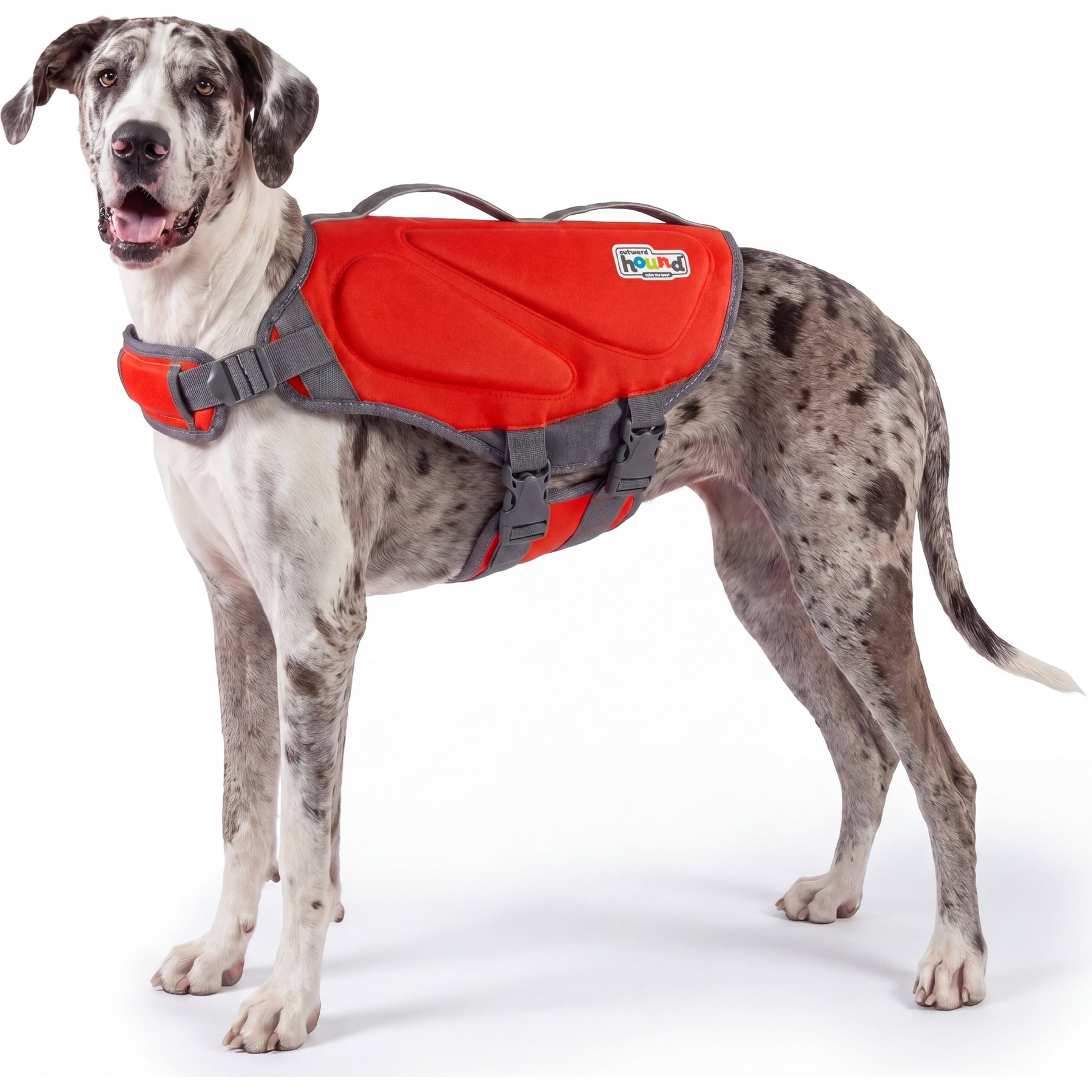 Outward Hound Neoprene Dawson Swimmer Dog Life Jacket, X-Large