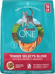 Purina ONE Tender Selects Blend with Real Salmon Natural Dry Cat Food, 16-lb bag