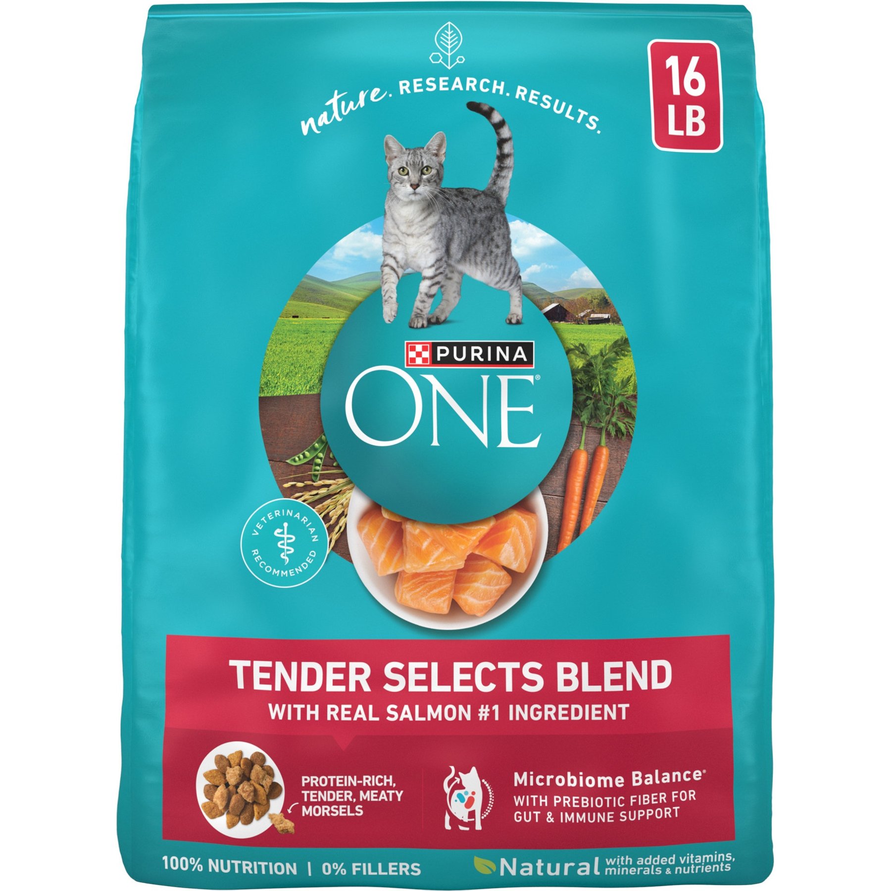 Purina ONE Tender Selects Blend with Real Salmon Natural Dry Cat Food, 16-lb bag