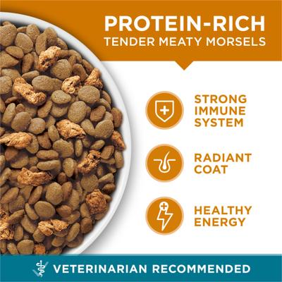 Show full view: Purina ONE Tender Selects Blend with Real Chicken Natural Dry Cat Food, 16-lb bag slide 5 of 11