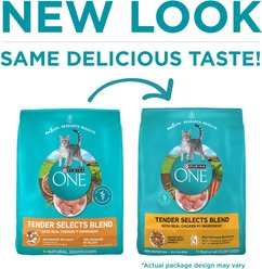 Purina ONE Tender Selects Blend with Real Chicken Natural Dry Cat Food, 16-lb bag slide 2 of 8