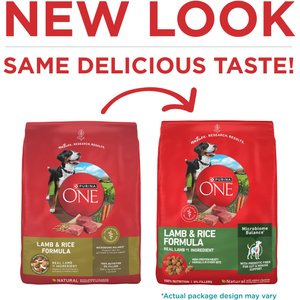 Purina ONE Lamb & Rice Formula High-Protein Dry Dog Food, 40-lb bag