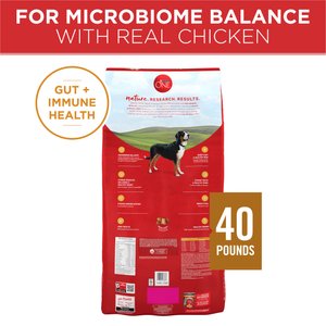 Purina ONE Chicken & Rice Formula High-Protein Dry Dog Food, 40-lb bag